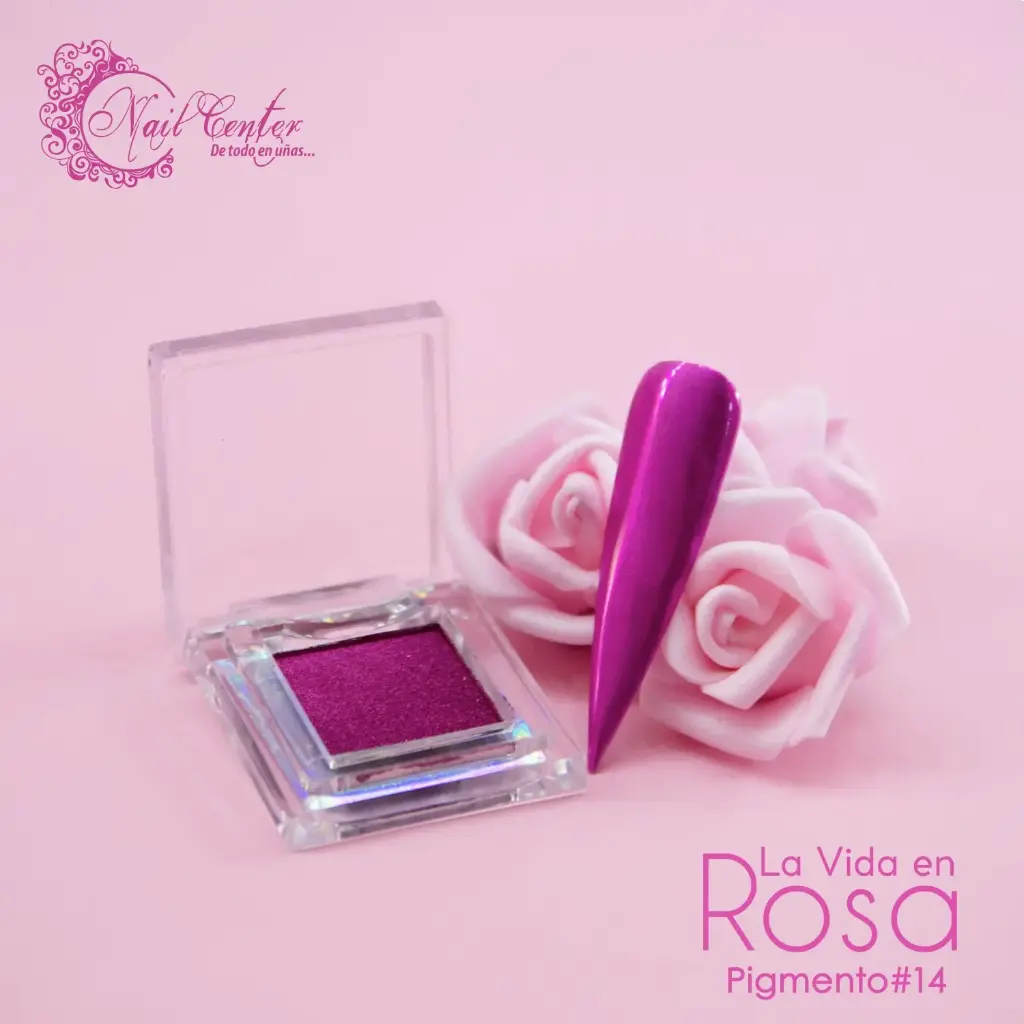 PIGMENTO SOLIDO NAIL CENTER 14