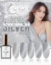 COLECCIÓN VIP COLOR 5 PIEZAS CAT EYE SILVER