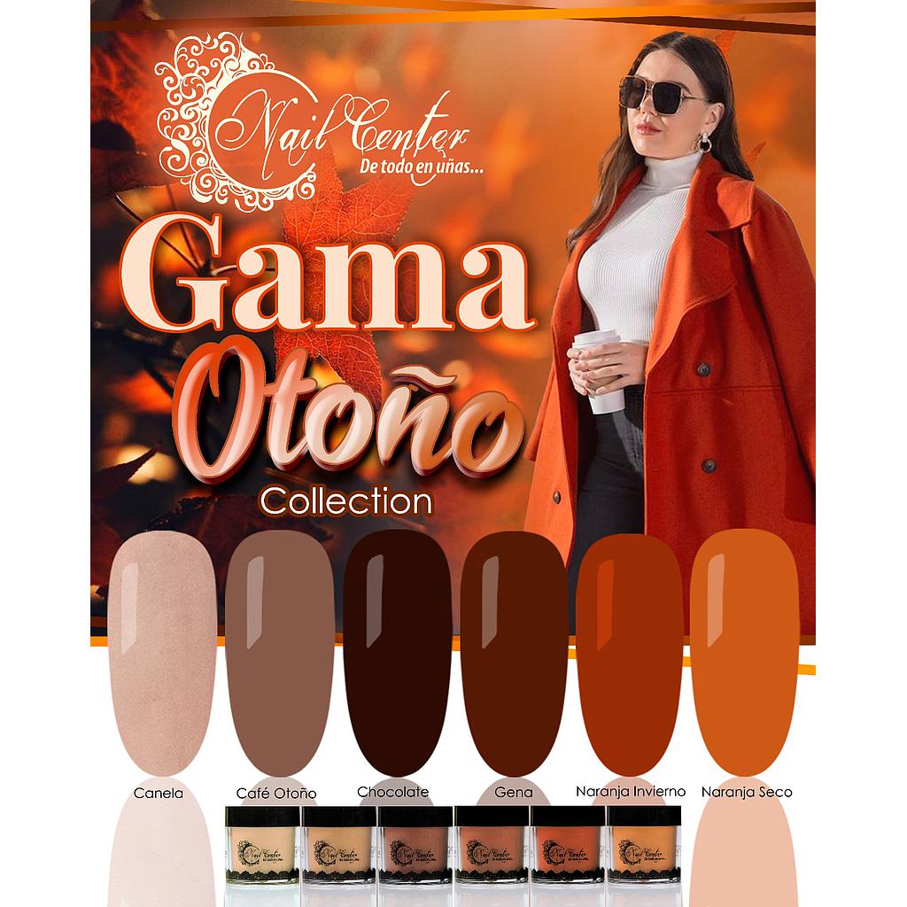 COLECCION ACRILICO GAMA OTOÑO 6 TONOS