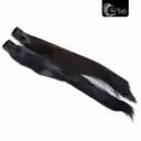 COLETA LISA ENCANTOS