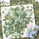 PACK HOJAS CERAMICAS