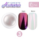 PIGMENTO NAIL CENTER AURORA 3