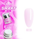 SMART GEL NUMERO 10 30G