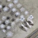 STICKER T-282 ROSAS NEGRAS