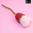 BLEDO ROSA BLING BLING 2