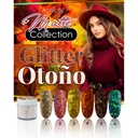 COLECCION DE GLITTER OTOÑO 6 TONOS