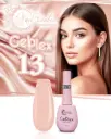GELPLEX 13