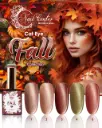 COLECCIÓN VIP COLOR 5 PIEZAS CAT EYE FALL