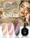 COLECCIÓN VIP 13ML CAT EYE SPECIAL 3 TONOS
