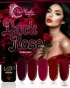 COLECCION VIP COLOR 13ML DARK ROSE 5 TONOS 