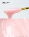 COVER GEL 30 G. NO. 10