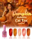 COLECCION VIP 13ML CAT EYE PUMPKIN AUTUMN - 5 TONOS